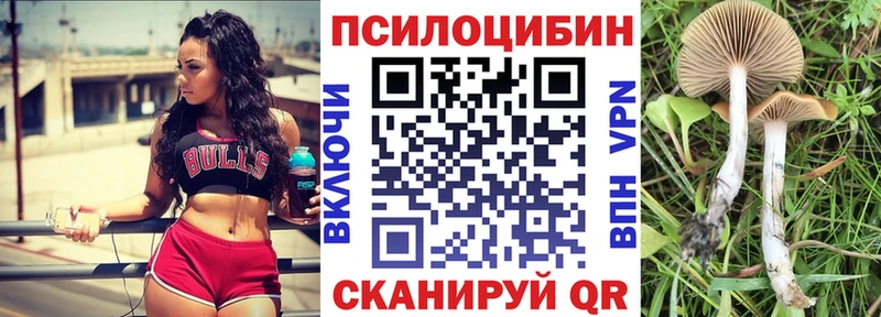 Галлюциногенные грибы Psilocybine cubensis  где найти наркотики  Покровск 